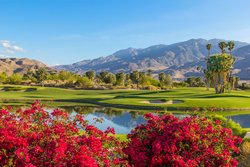 Palm Springs